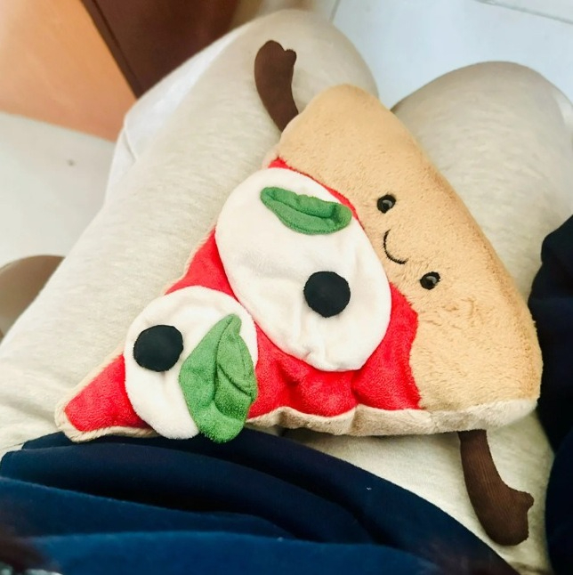 Hamburger pizza ornament gift  - đánh giá và giá Home And Textiles Today